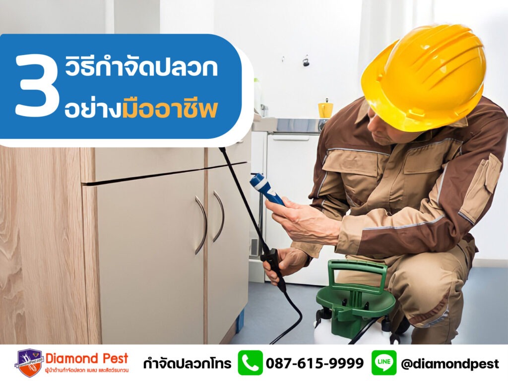 3 วิธีกำจัดปลวกอย่างมืออาชีพ002