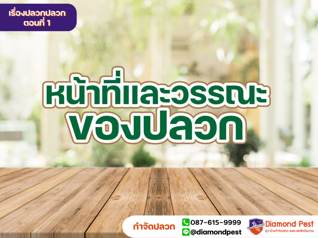 ตอนที่ 1 “หน้าที่และวรรณะของปลวก”