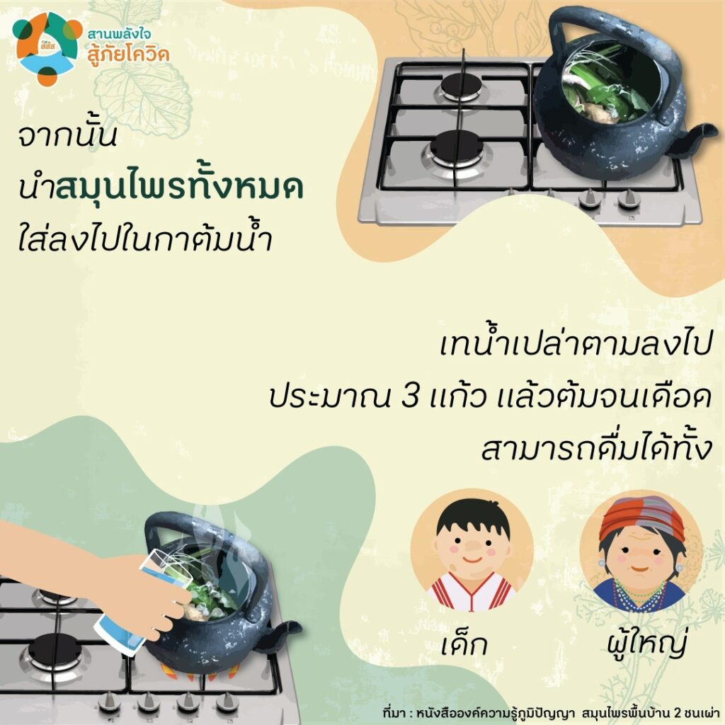 สมุนไพรภูมิปัญญาชนเผ่ายุคโควิด-19-09