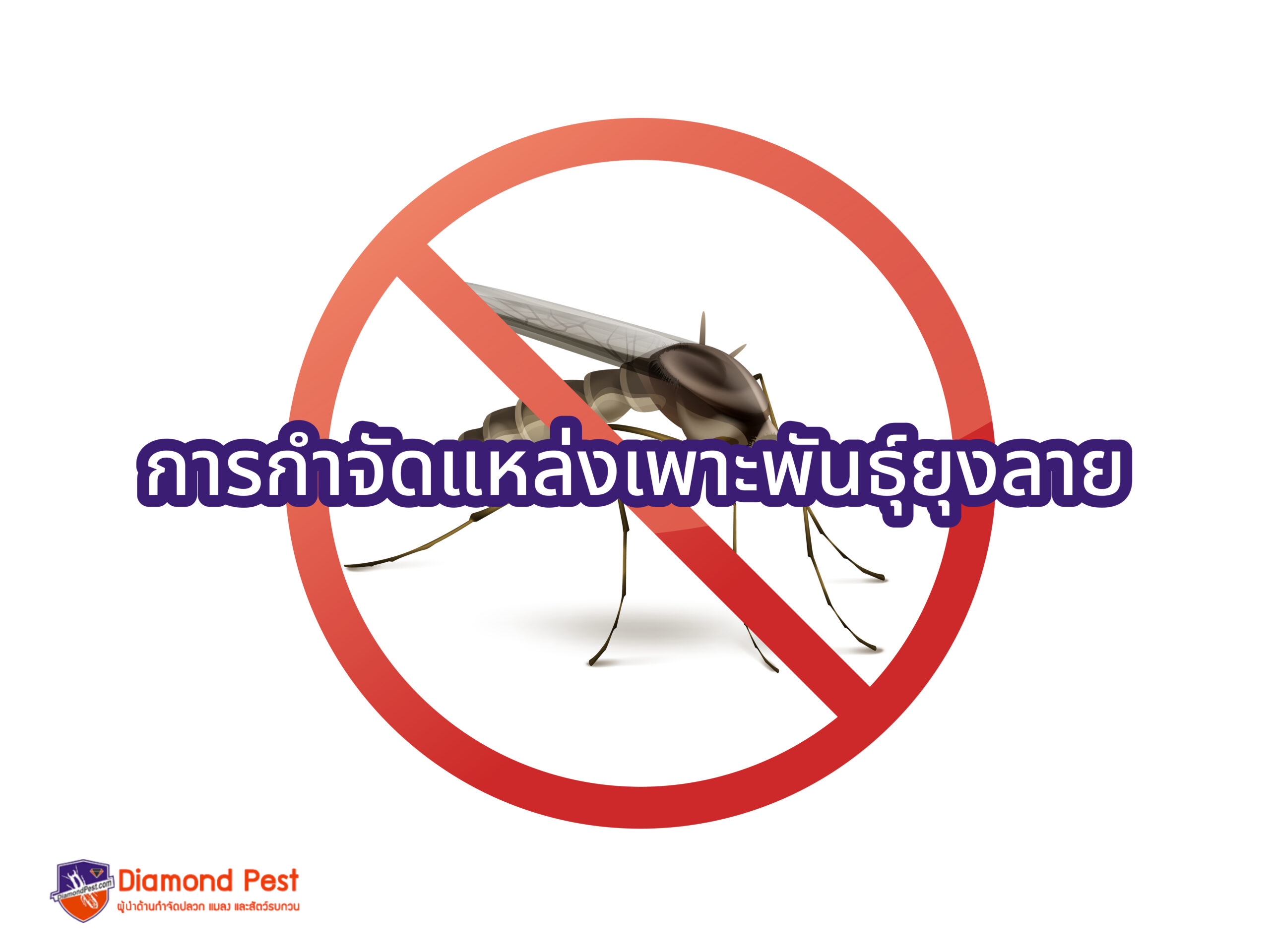 การกำจัดแหล่งเพาะพันธุ์ยุงลาย