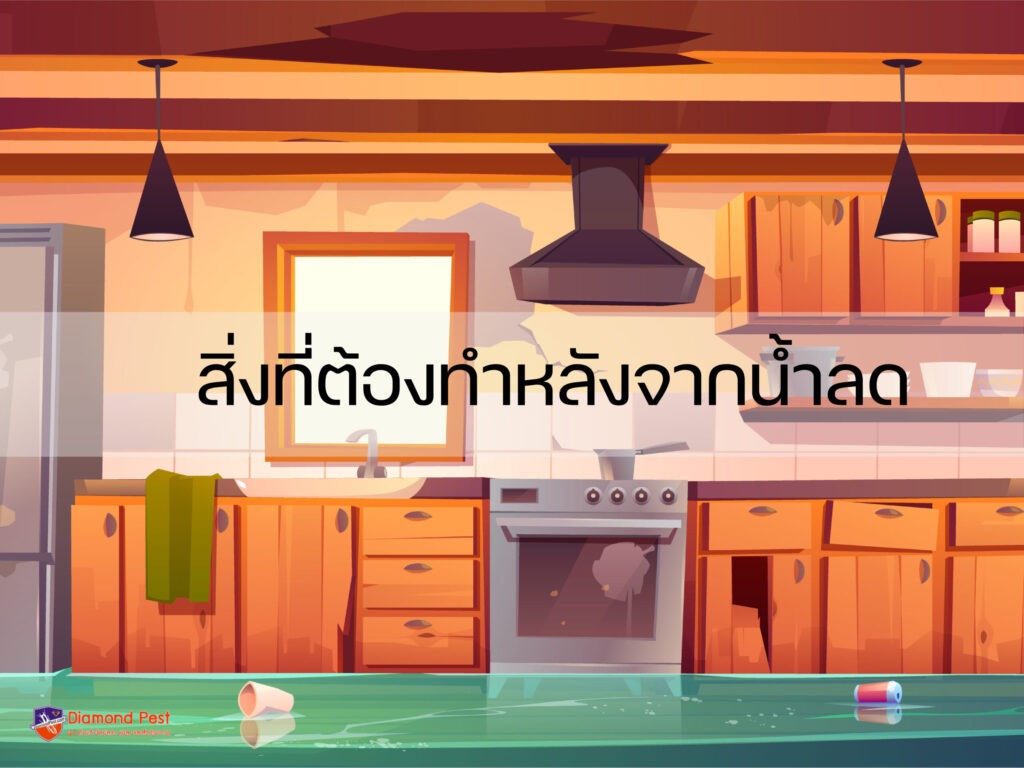 สิ่งที่ต้องทำหลังจากน้ำลด