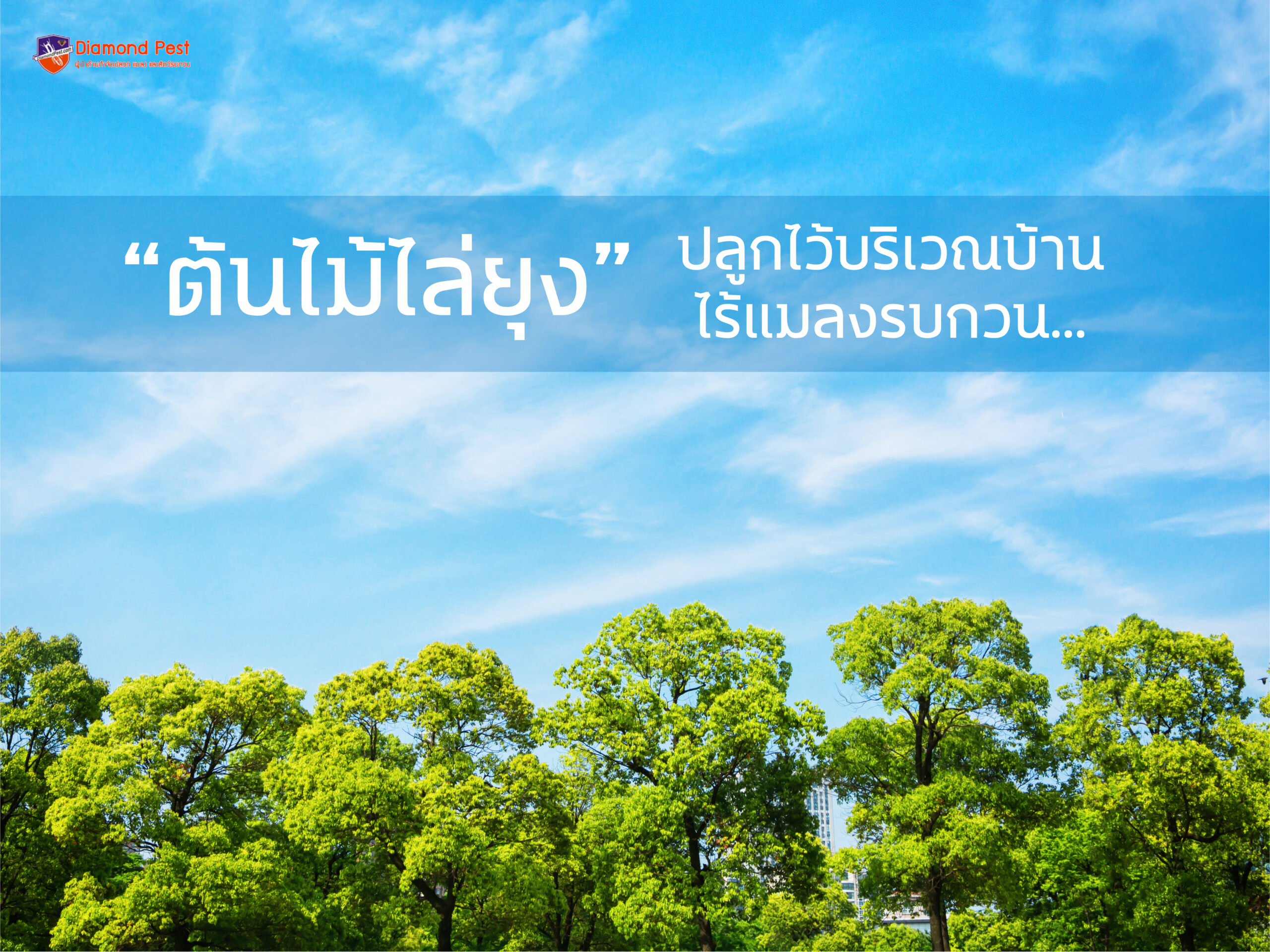 ต้นไม้ไล่ยุง