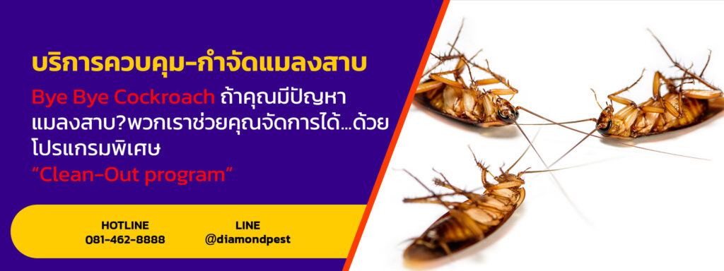 diamondpest