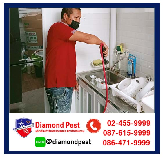 diamondpest