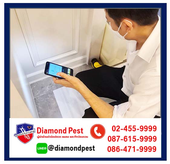 diamondpest