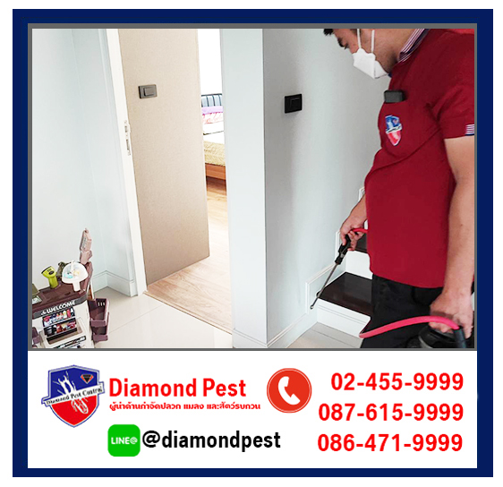 diamondpest