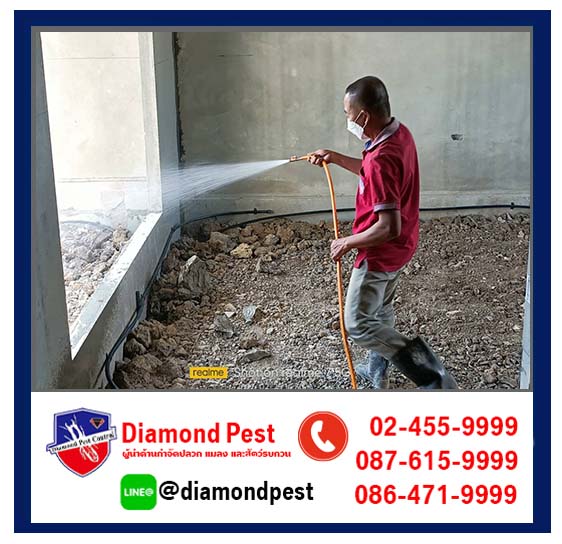 diamondpest