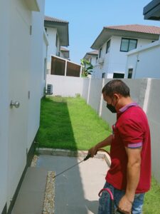 diamondpest