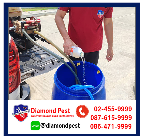 diamondpest