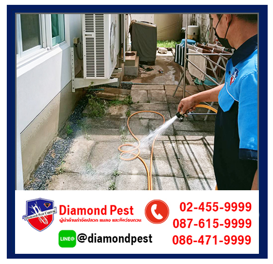 diamondpest