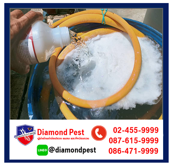 diamondpest