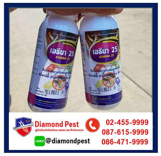 diamondpest