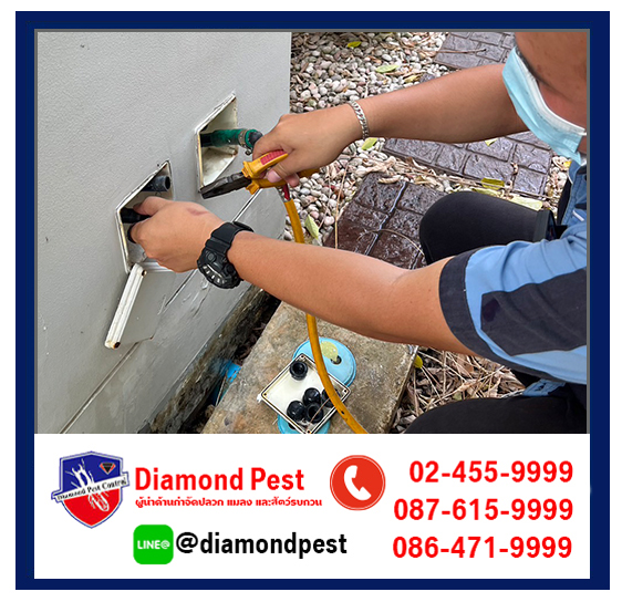 diamondpest