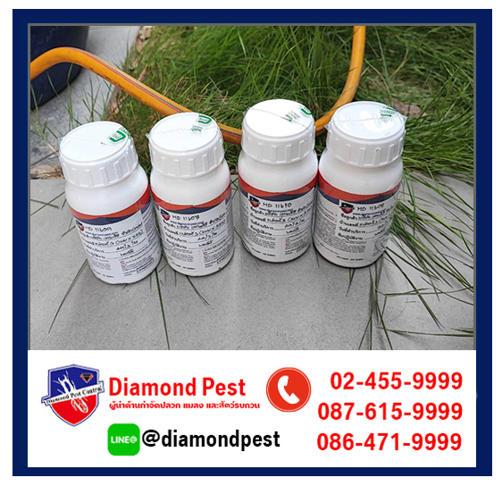 diamondpest