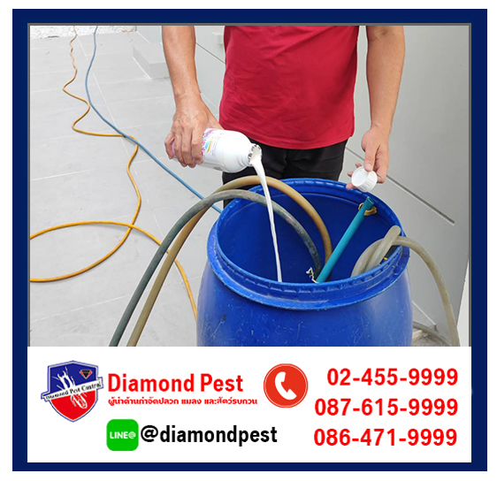 diamondpest