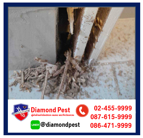 diamondpest