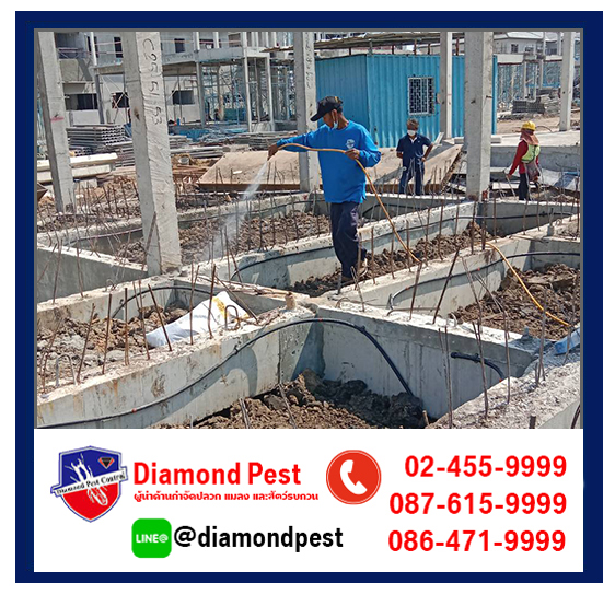 diamondpest
