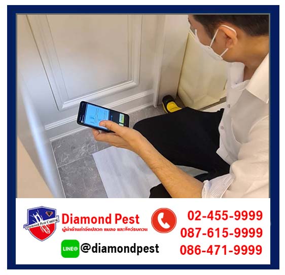 diamondpest