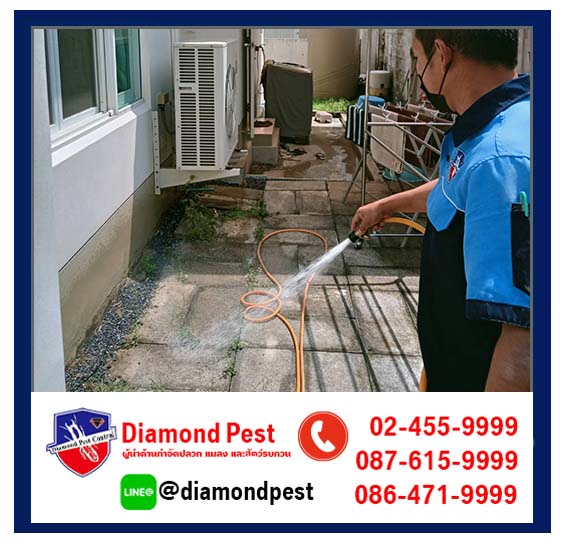 diamondpest