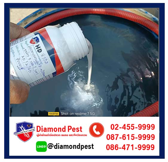 diamondpest