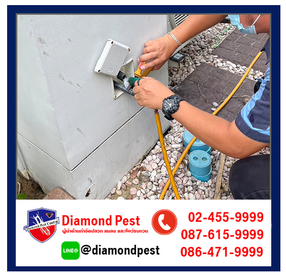 diamondpest