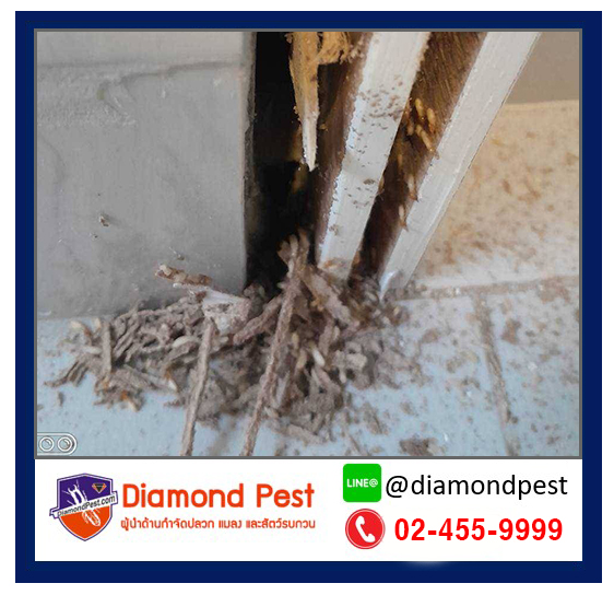 diamondpest