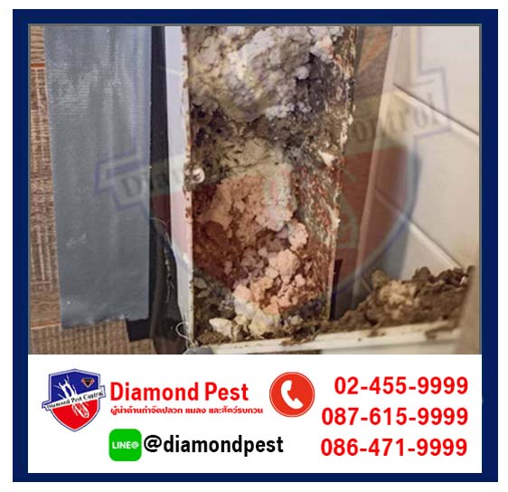 diamondpest