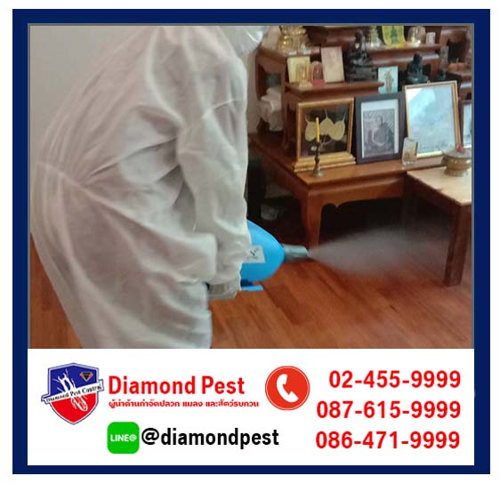 diamondpest