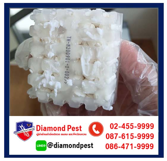 diamondpest