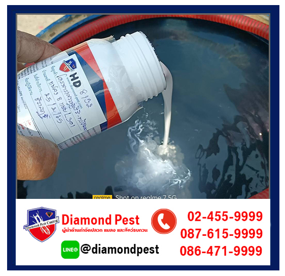diamondpest