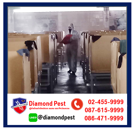 diamondpest