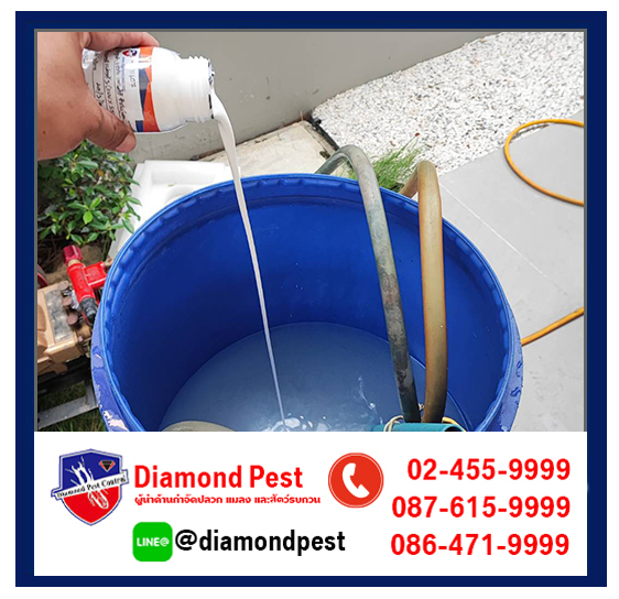 diamondpest