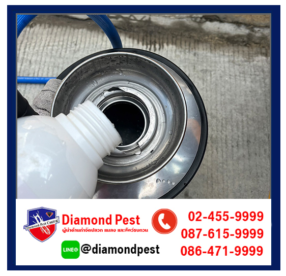 diamondpest