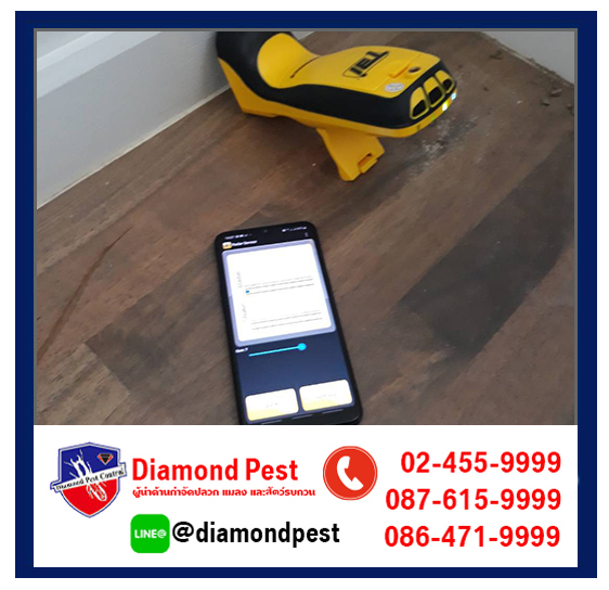 diamondpest