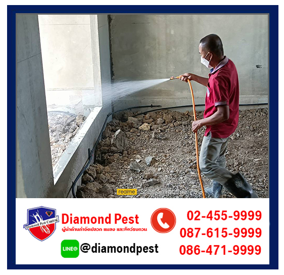 diamondpest