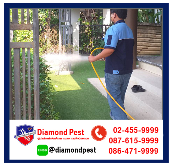 diamondpest