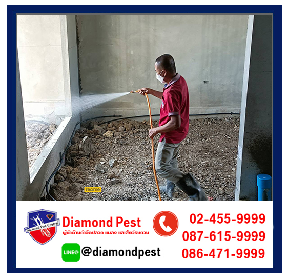 diamondpest
