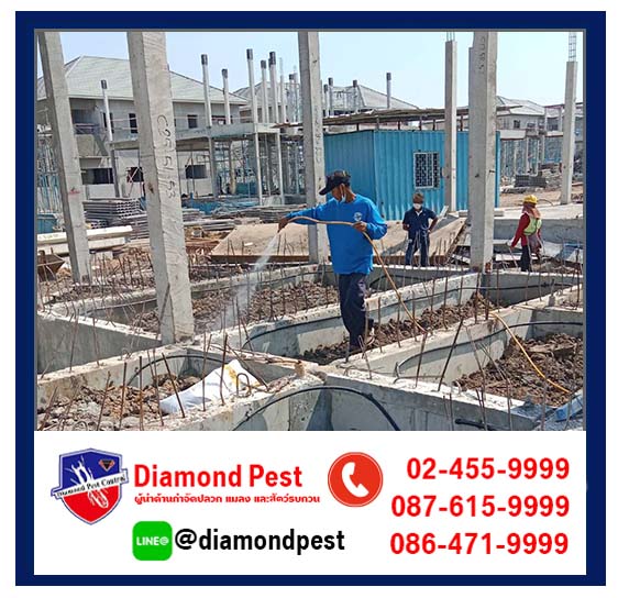 diamondpest
