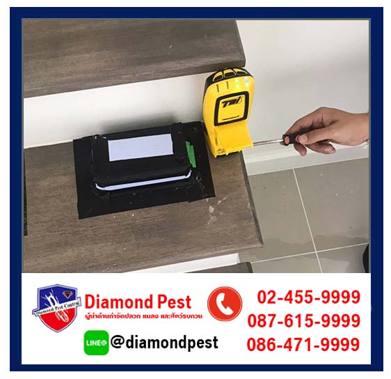 diamondpest