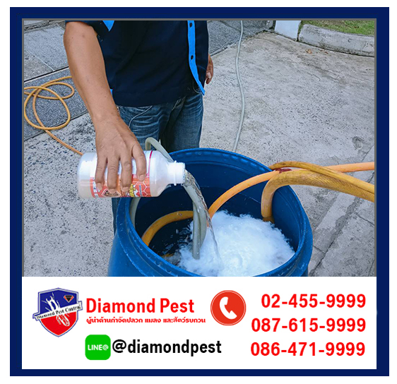 diamondpest