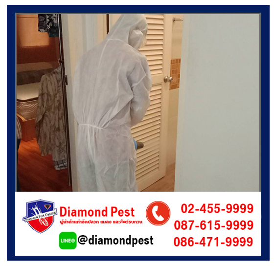 diamondpest