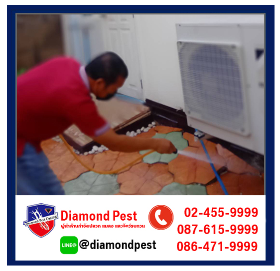 diamondpest