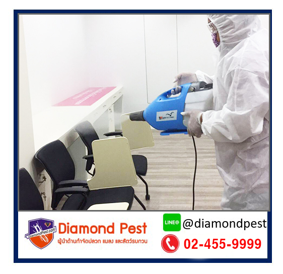 diamondpest