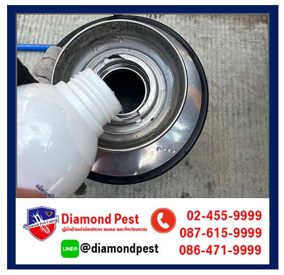 diamondpest