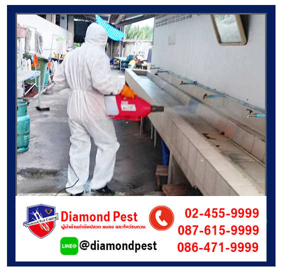 diamondpest