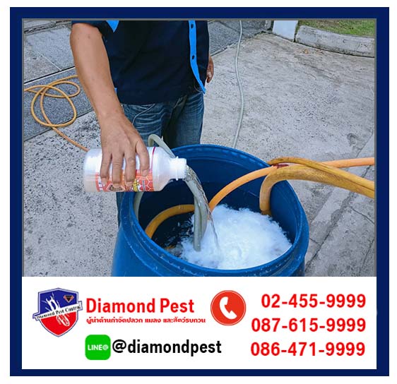 diamondpest