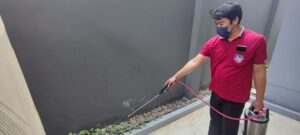 diamondpest