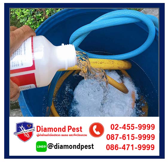 diamondpest