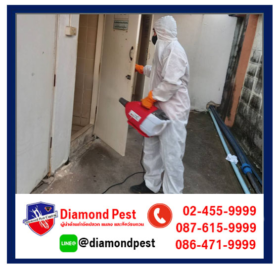 diamondpest