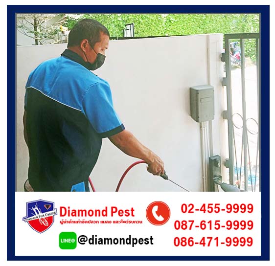 diamondpest